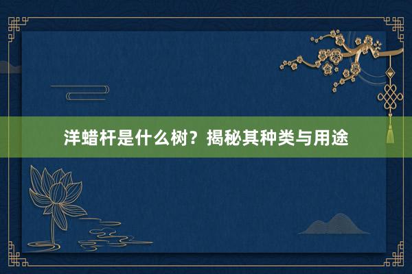 洋蜡杆是什么树？揭秘其种类与用途