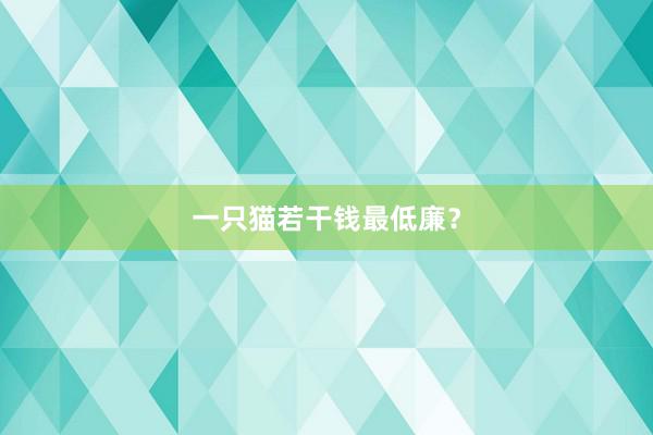 一只猫若干钱最低廉？